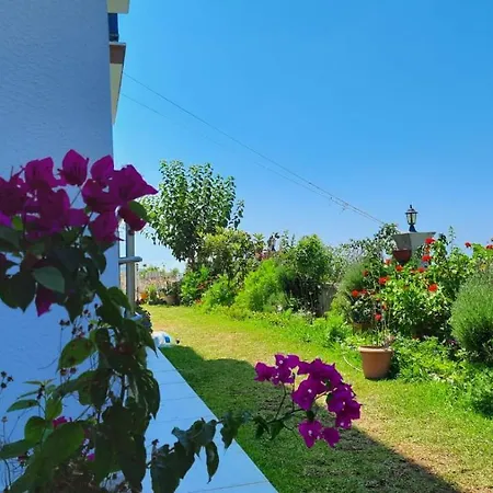 Begonvilla Homes Karaoez Hotel de apartamente