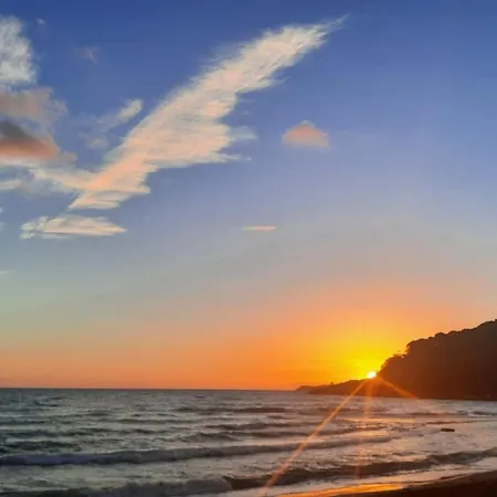 Begonvilla Homes Karaoez