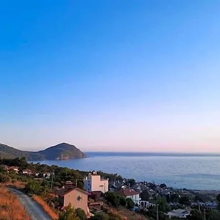 Begonvilla Homes