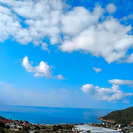 Aparthotel Begonvilla Homes 4*