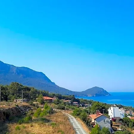 Begonvilla Homes
